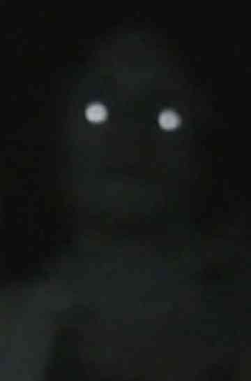 La nuit c'est à nous Poster