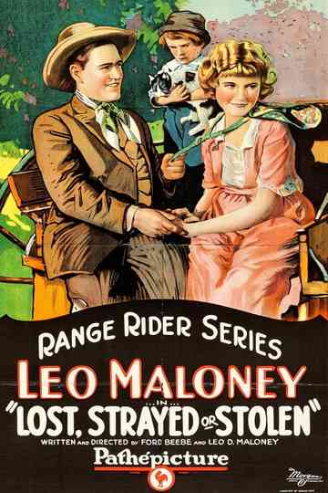 Lost, Strayed or Stolen Poster