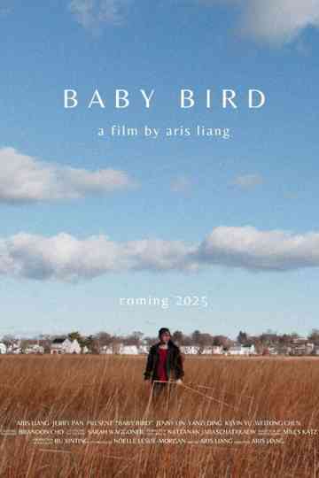 Baby Bird Poster
