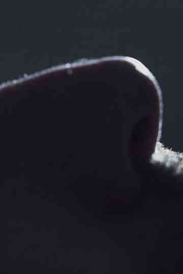 My Falling Sickness Poster