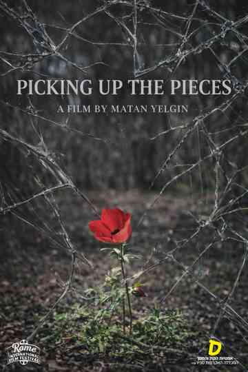 Picking Up the Pieces Poster