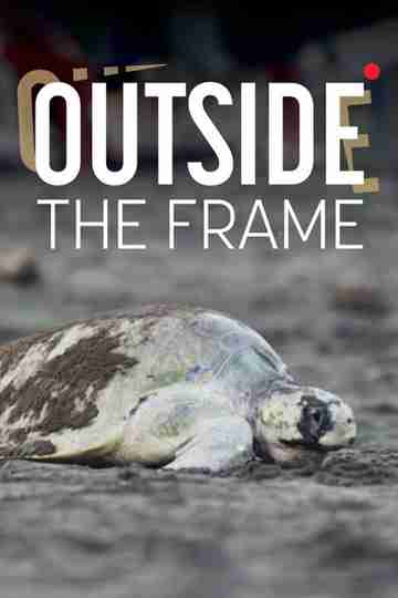 Outside The Frame Poster