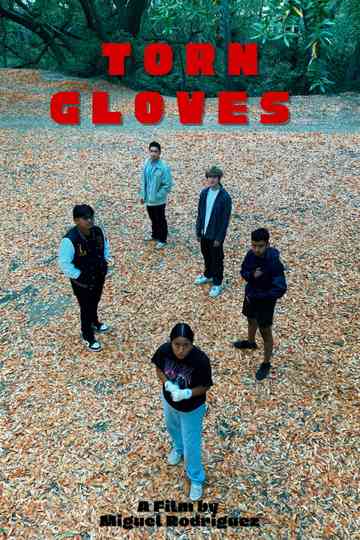 Torn Gloves Poster