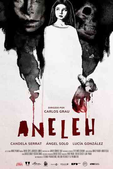 Aneleh Poster