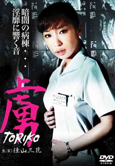 Toriko Poster