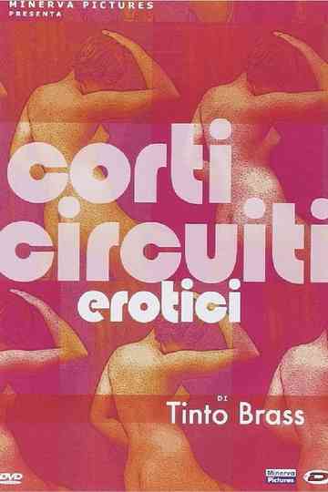 Tinto Brass presenta Corti circuiti erotici 2DVD Poster