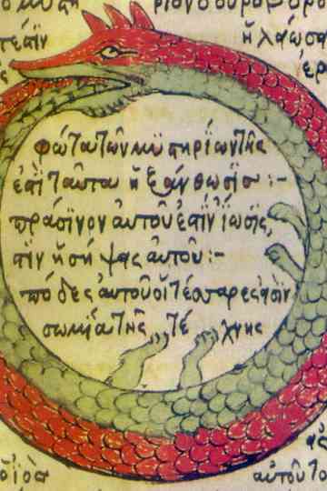 REINCARNATION Poster