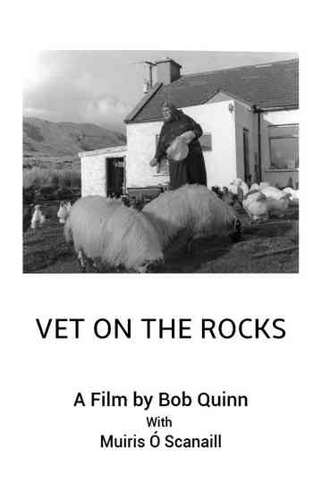 Vet On The Rocks Poster