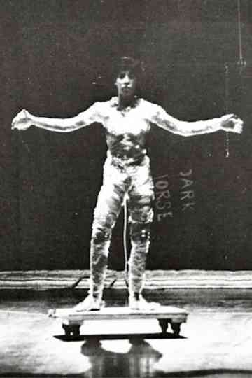 Deborah Hay: Solo Poster