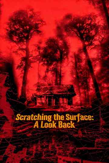 Scratching the Surface: A Look Back Poster