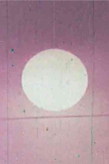 Wandering Through Winter Poster