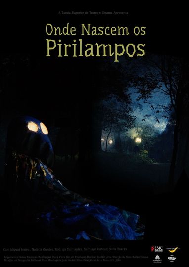 Where Fireflies Sparkle