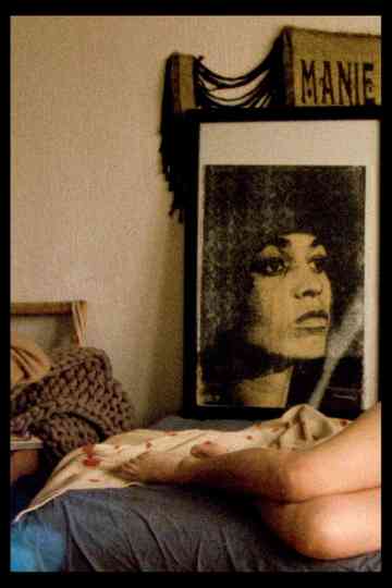 Three Days in Tlaquepaque Poster