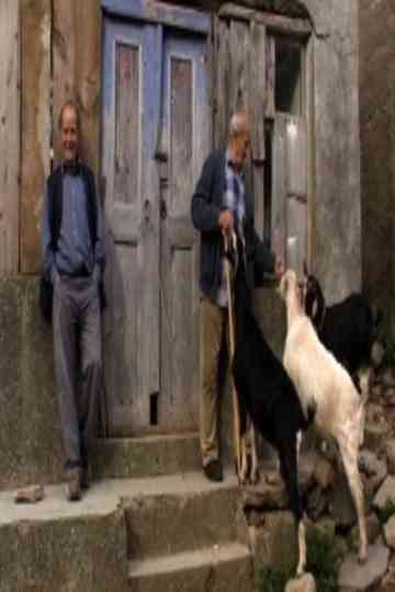 25th meridian Poster