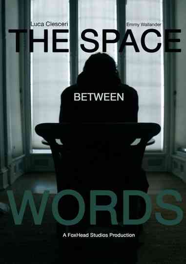 The Space Between Words Poster