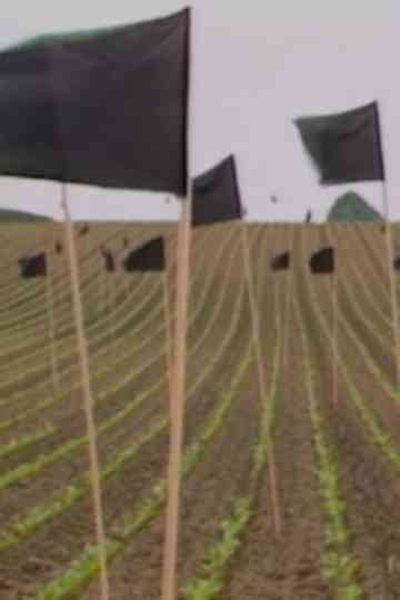 Und die Galaxien hörten Poster