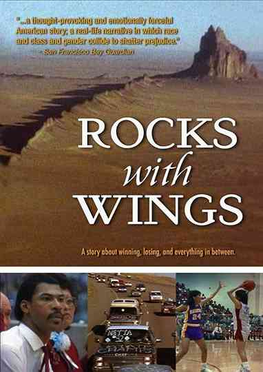 Rocks With Wings Poster