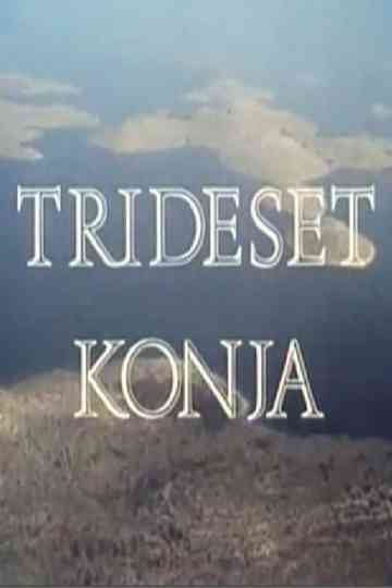 Thirty Horses Poster