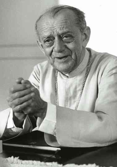 Excuse Me America Poster