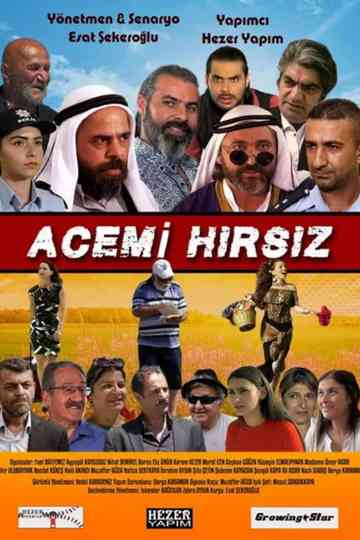 Acemi Hırsız Poster