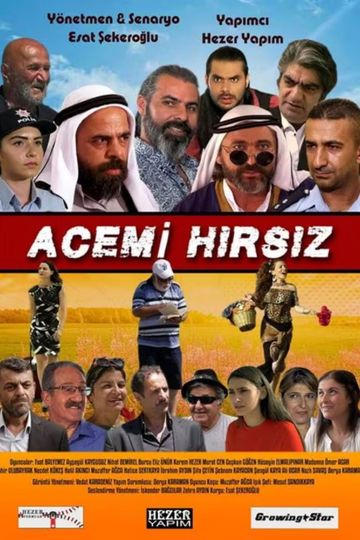Acemi Hırsız