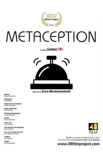 Metaception Poster