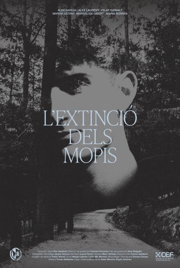 L'extinció dels mopis