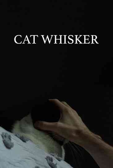 Cat Whisker Poster
