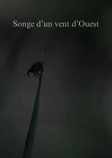 Songe d'un vent d'Ouest Poster