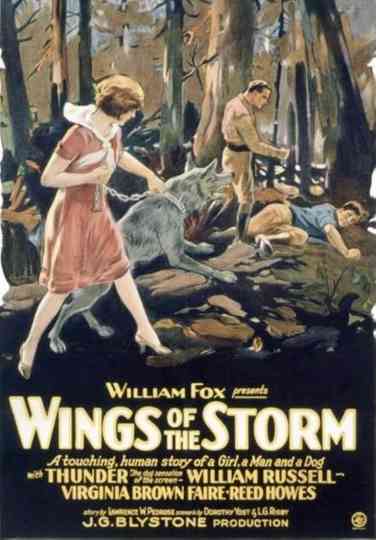 Wings of the Storm Poster