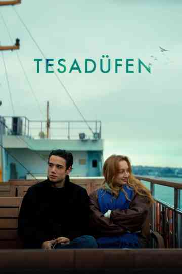 Coincidentally Poster