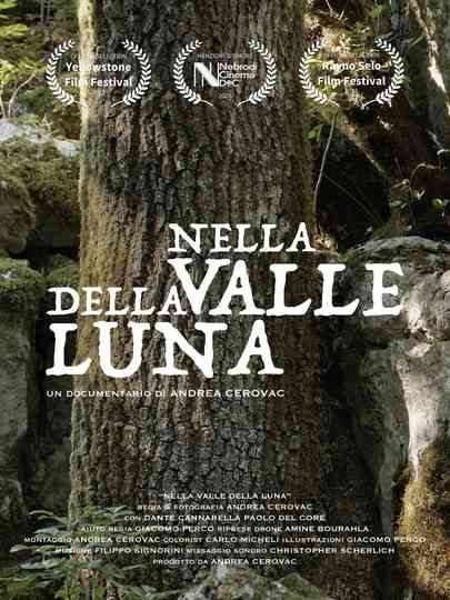 Nella Valle della Luna Poster
