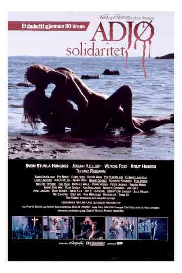 Farewell Illusions Poster