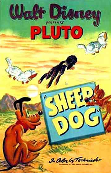 Sheep Dog Poster