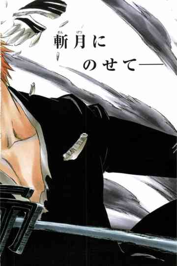 Bleach Poster