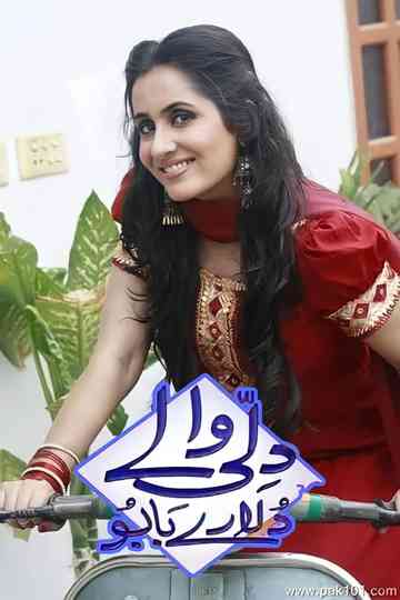 Dilli Walay Dularay Babu Poster