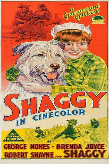 Shaggy Poster