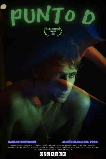 Punto D Poster