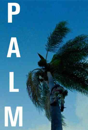 Palm Poster