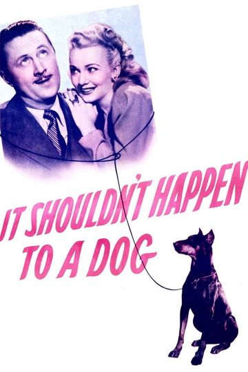 It Shouldn't Happen to a Dog