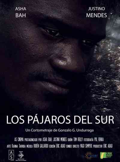Los Pájaros del Sur Poster
