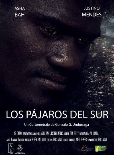 Los Pájaros del Sur