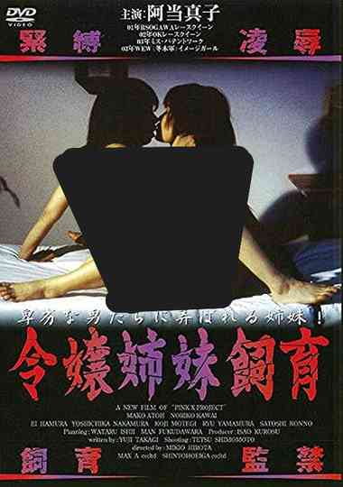 Young Lady Sisters Poster