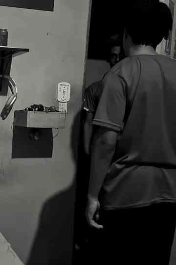 O Hóspede indesejado Poster