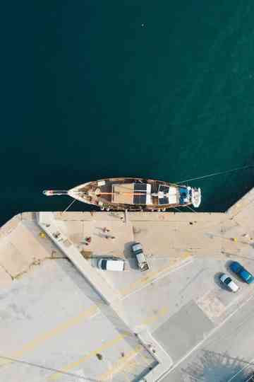 Saving the Hidden Coral of the Mediterranean Poster