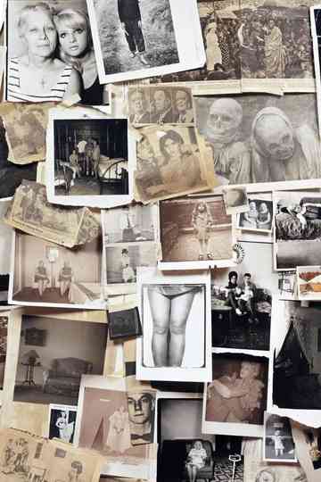 A Slide Show and Talk by Diane Arbus Poster