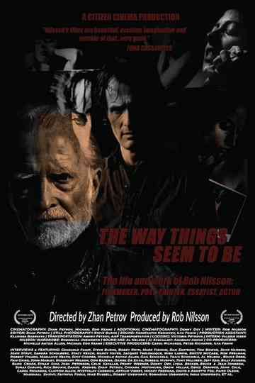 The Way Things Seem to Be Poster