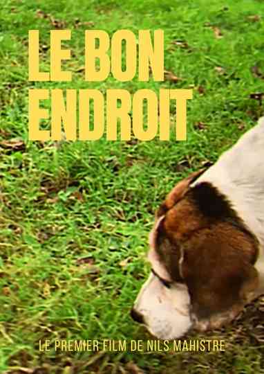 Le bon endroit Poster