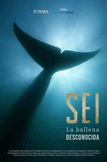 Sei La Ballena Desconocida Poster