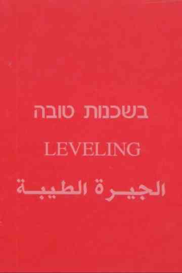 Leveling Poster